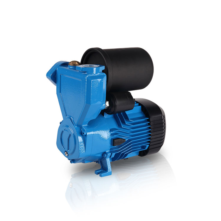 Why is my booster pump constantly running?