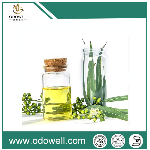 The Power of Essential Oils: Nature's Remedy for Health and Wellness