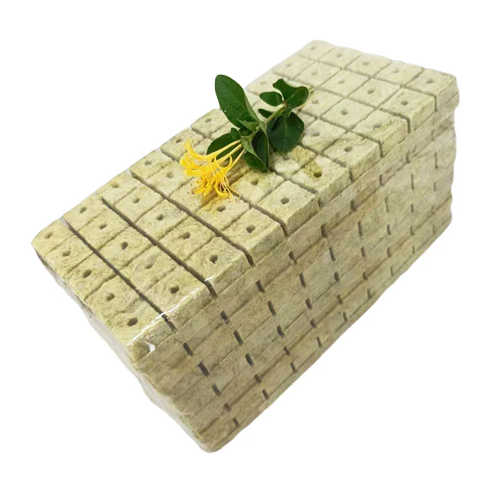 How Often Should you Water Plants in Rockwool Growth Matrix?
