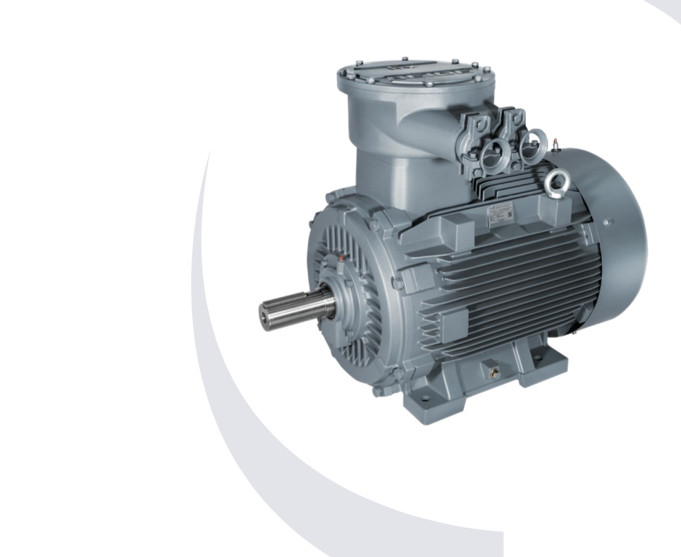 Top Three-Phase Asynchronous Motor Factory for Efficient Industrial Power Solutions