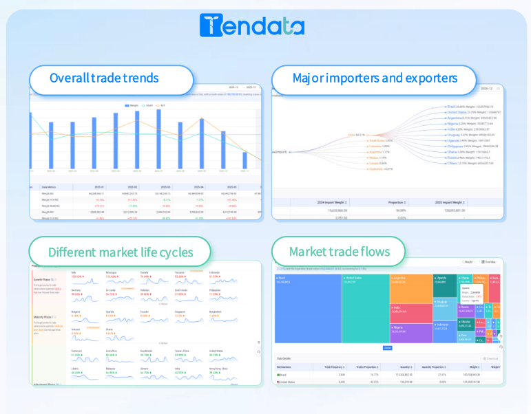 Detailed Customs Data Analytics Unlocks Hidden Trade Patterns and Risks